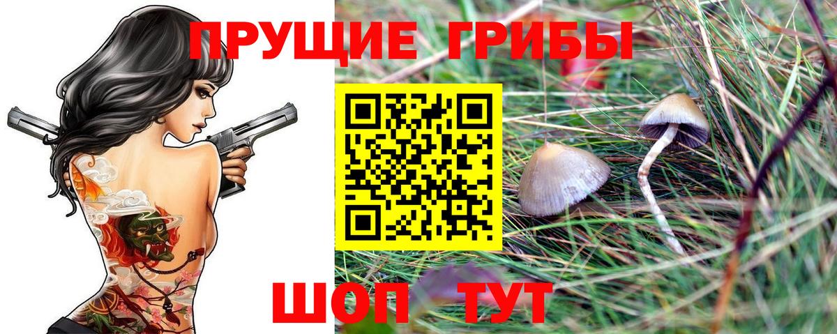 Карталы  Галлюциногенные грибы мухоморы  Вход с VPN 